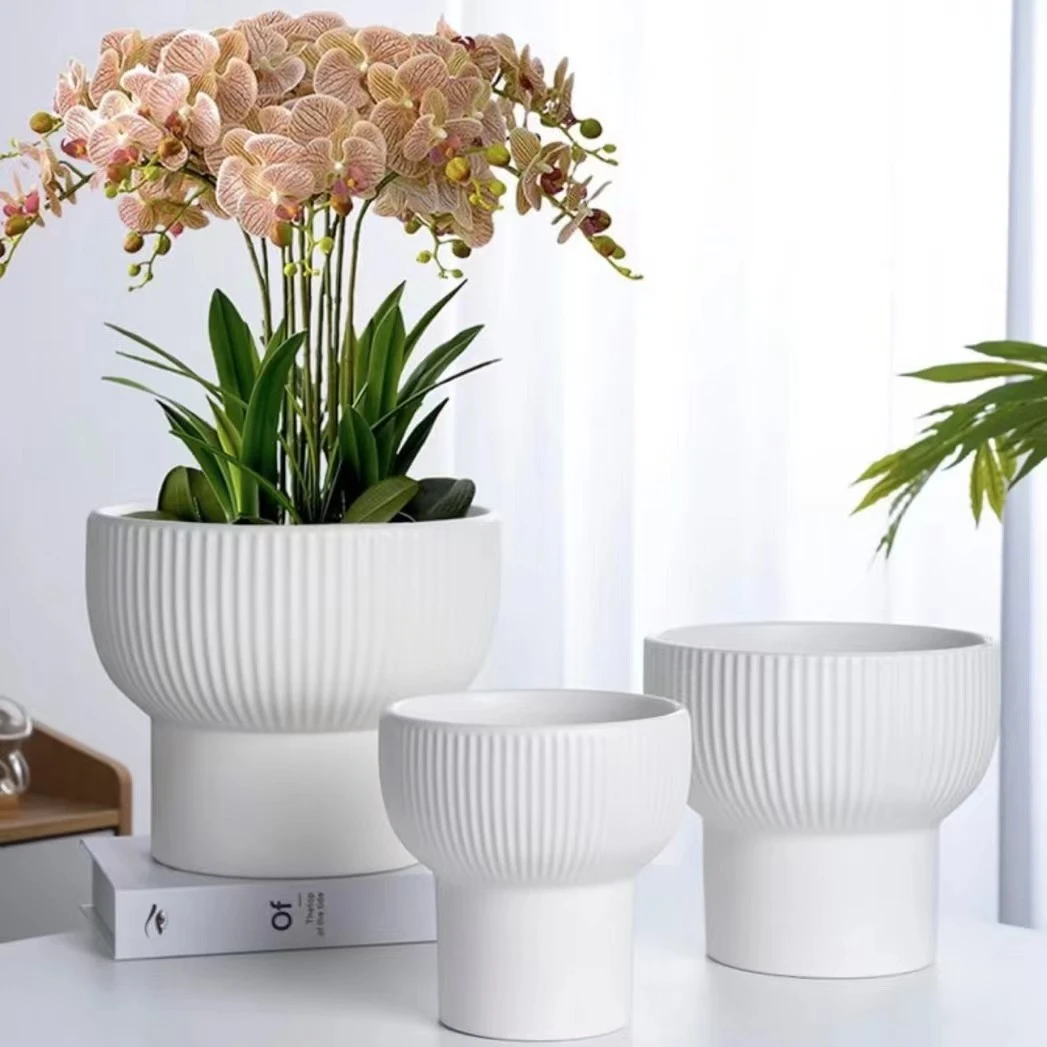 新款亚光花盆陶瓷大口径北欧风天堂鸟蝴蝶兰专用绿植盆陶瓷带托盘