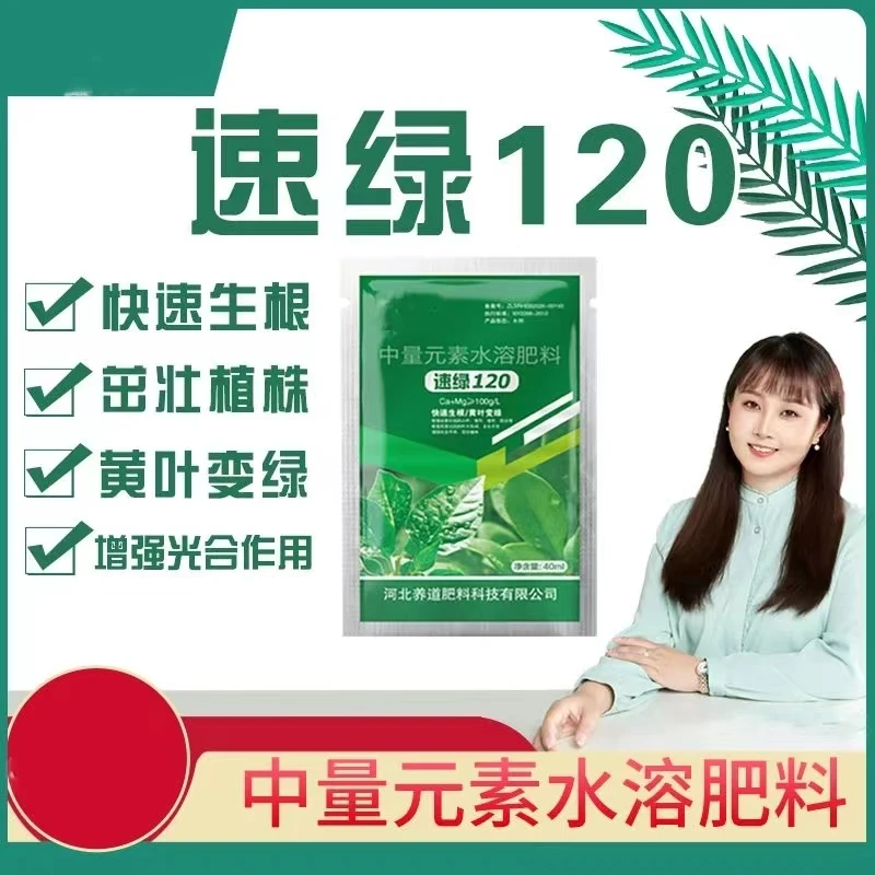 果养道速绿120黄叶变绿叶片厚专用绿叶素正品叶面肥大全有机2023