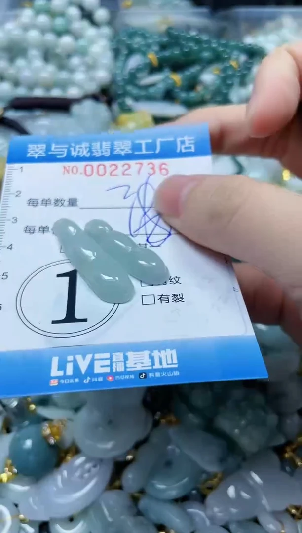 【闪购商品】翡翠颈饰未镶嵌闪购0022736