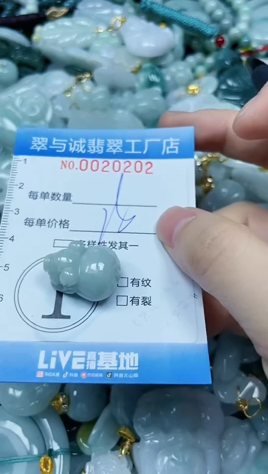 【闪购商品】翡翠颈饰未镶嵌闪购0020202