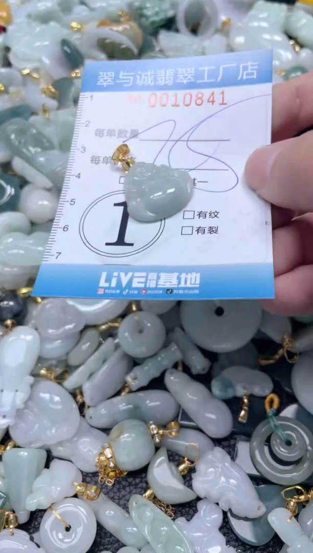 【闪购商品】翡翠挂件未镶嵌闪购0010841