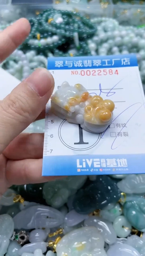 【闪购商品】翡翠颈饰未镶嵌闪购0022584