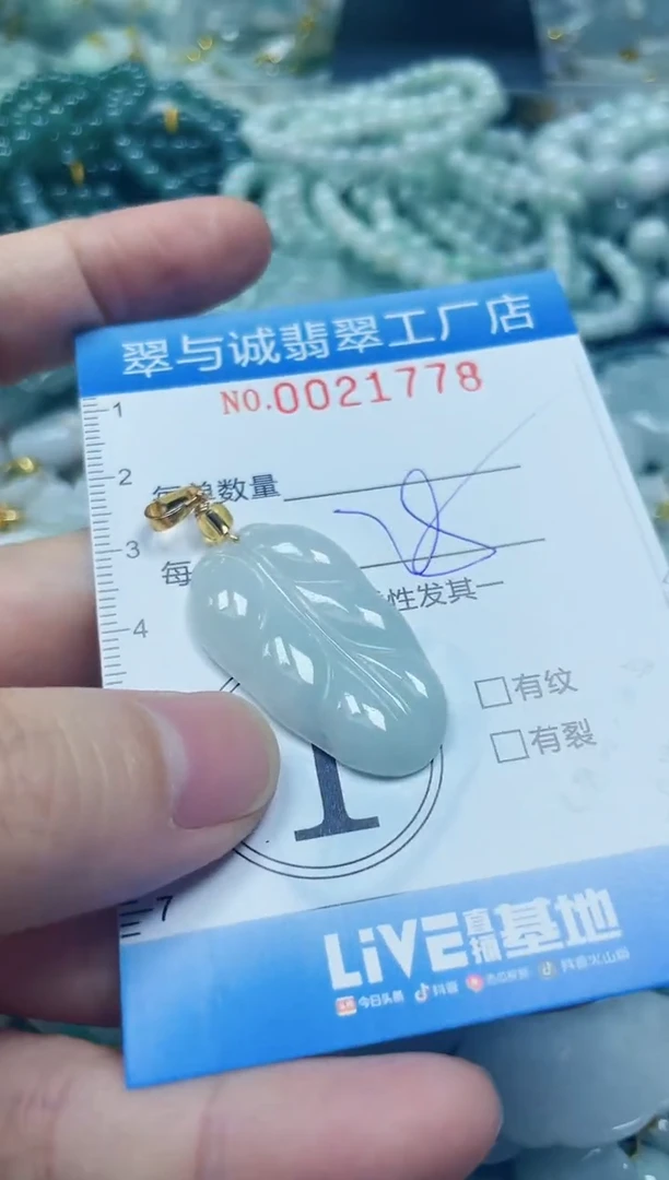 【闪购商品】翡翠颈饰未镶嵌闪购0021778