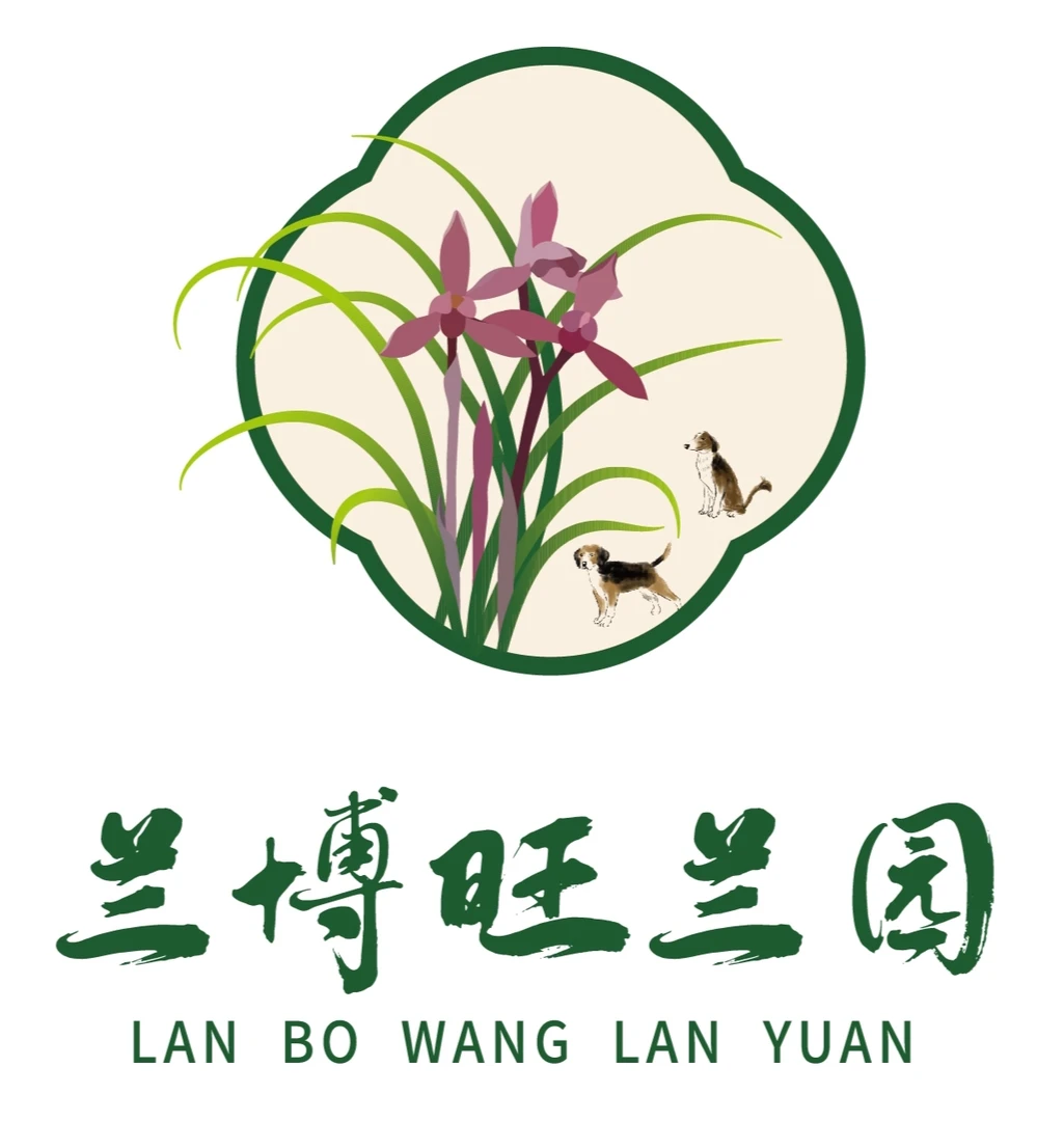 兰博旺兰园精品国兰