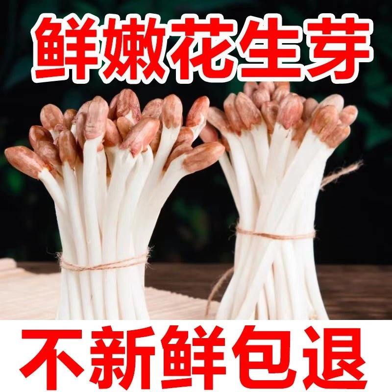 【顺丰冷链】生鲜花生芽现栽现发货微甜营养健康无添加500g