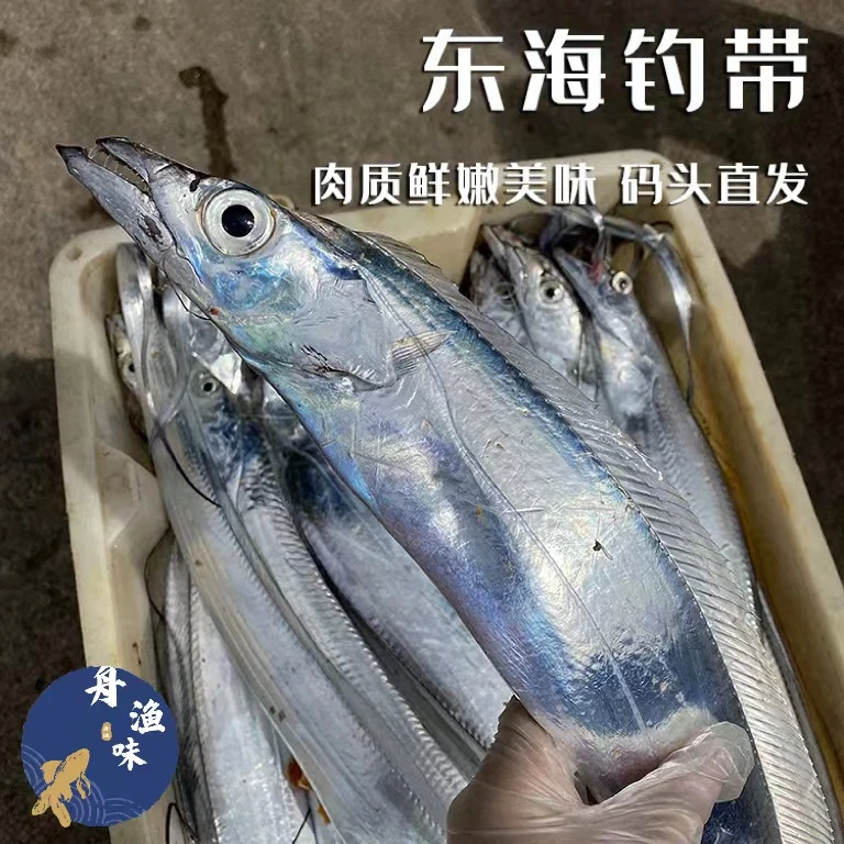 【主推款】舟山海钓带鱼3条装 码头直发 小眼睛 净含量600-1500g