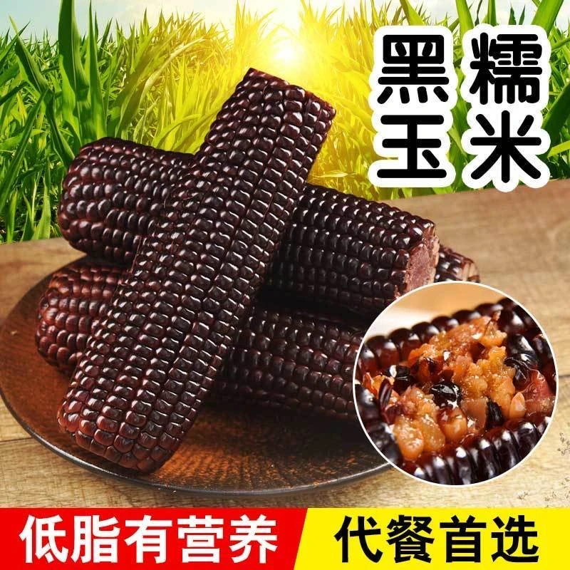 头茬新鲜非转基因甜糯粘黑玉米棒真空包装代餐新货甜糯粘黑玉米