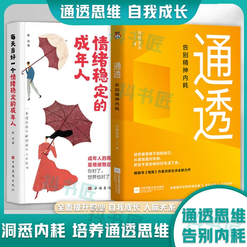 通透 告别精神内耗 月夜生凉著 洞悉内耗本质培养通透思维人生i