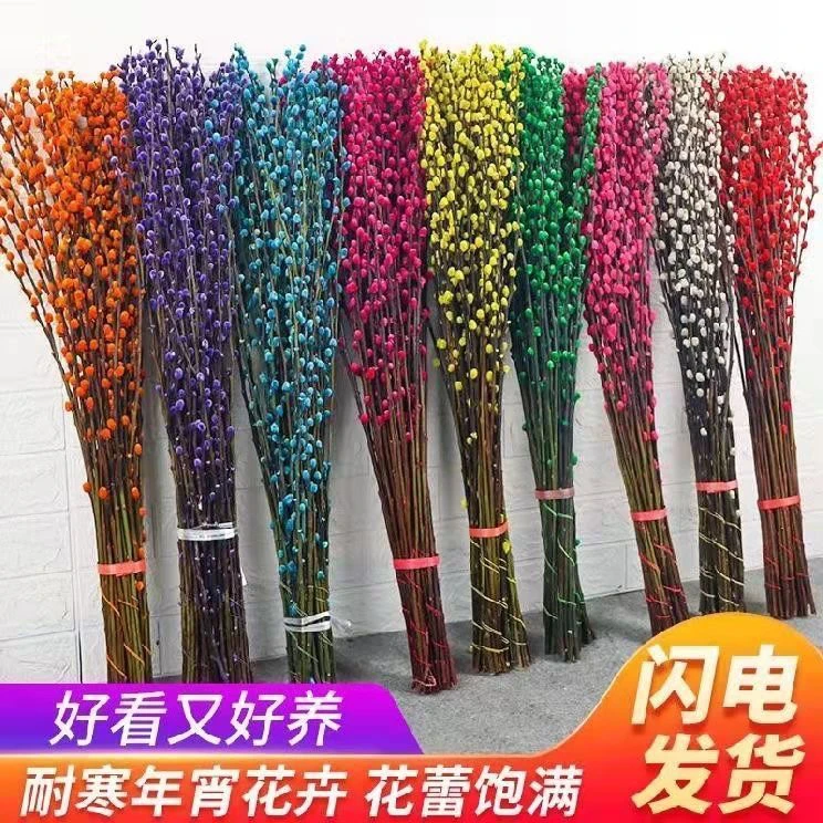 【新客福利】春节招财红色银柳干花鲜枝耐寒年宵花卉我是客厅装饰花