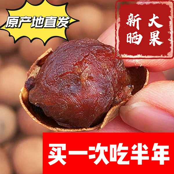 1-3斤只做品质！高州老树12A级大果桂圆干/煲汤香甜/饱满泡茶营养