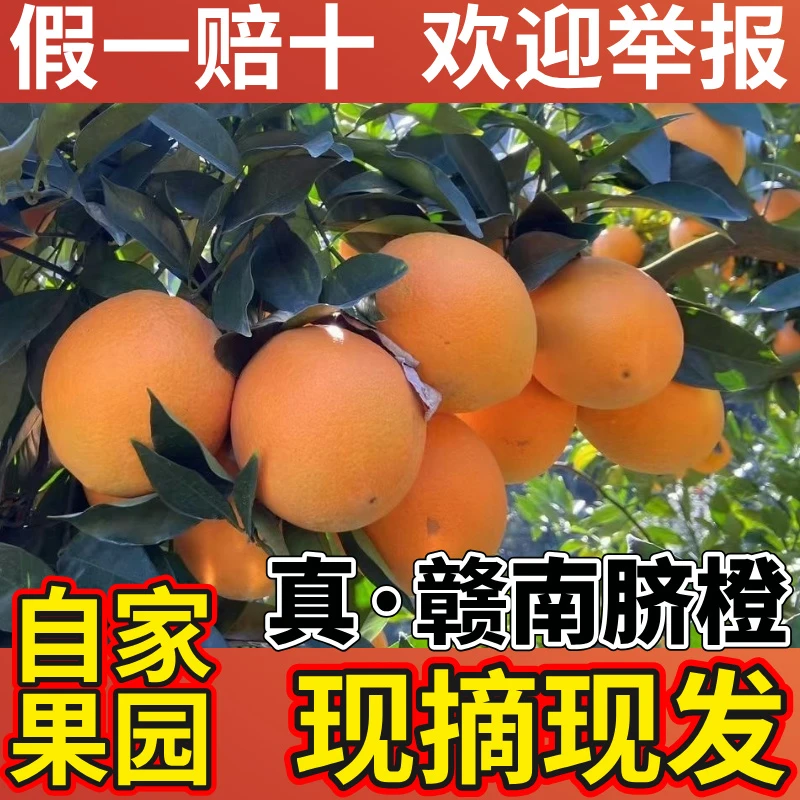 赣南脐橙 产地直发正宗赣州江西包邮榨汁农家果园生鲜新鲜