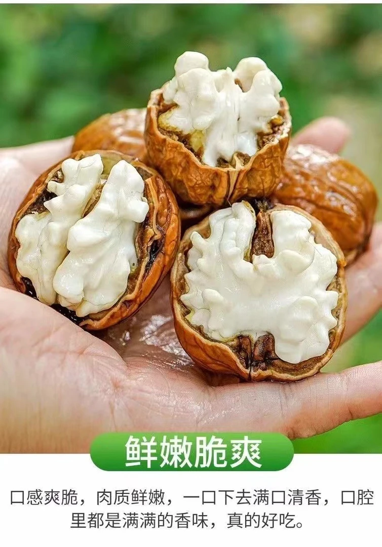 （坏果包赔）2024年新鲜云南高山老树薄壳核桃1斤3斤5斤