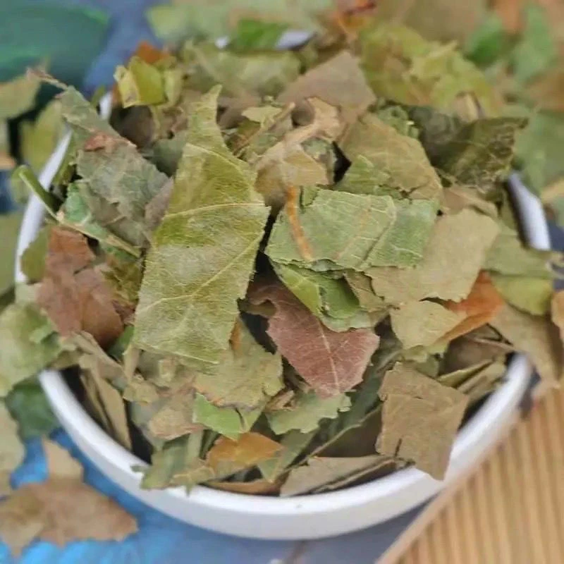 柿子叶正品高品质无熏无硫柿子叶