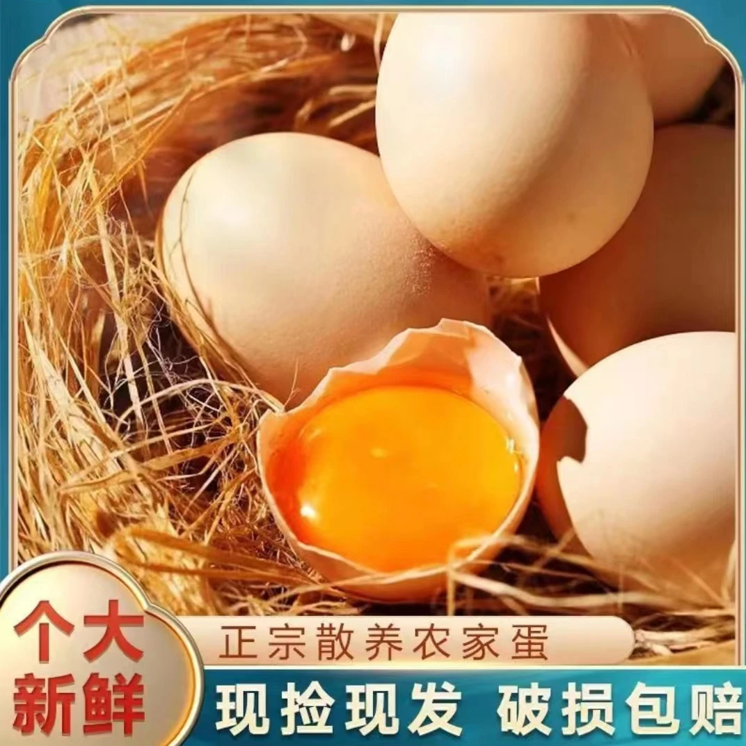 正宗农家新鲜土鸡蛋草鸡蛋10枚 破损包赔高品质优质营养喂养健康