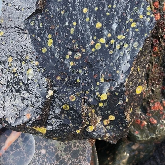 【闪购商品】a****l梅花玉石雕刻艺术精品