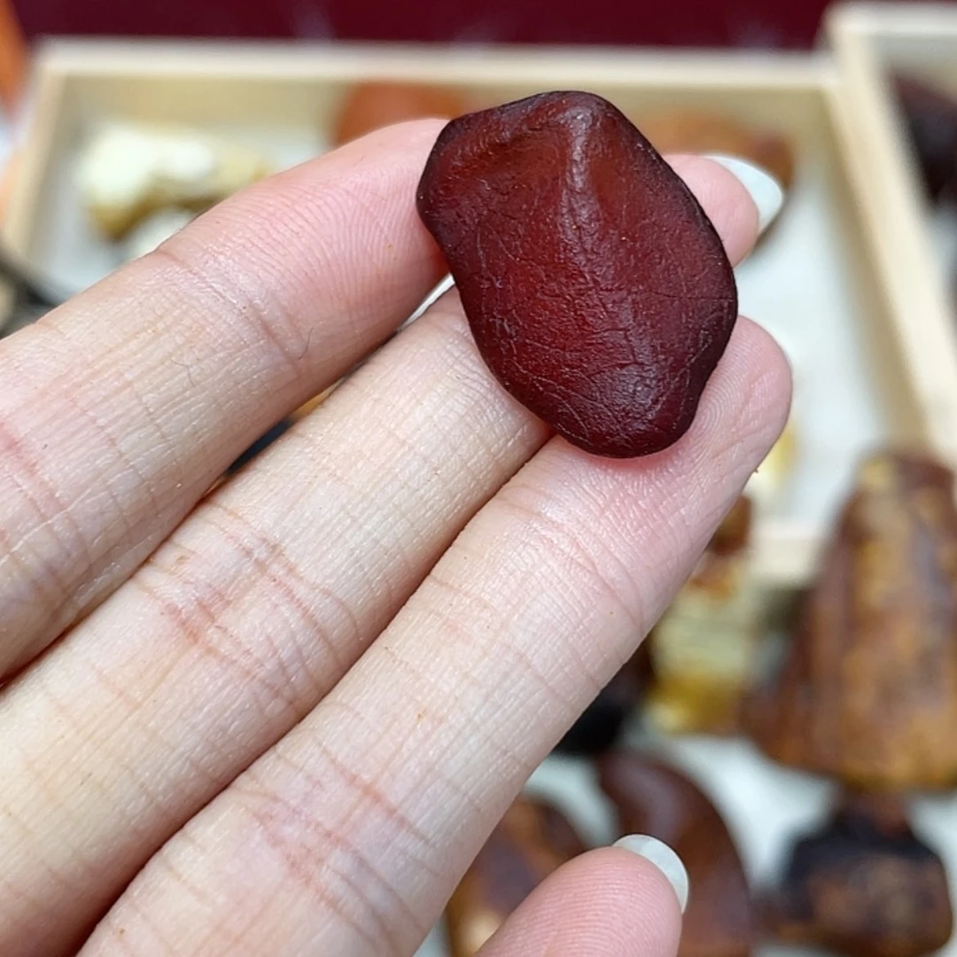 【闪购商品】琥珀珠宝奇石未镶嵌