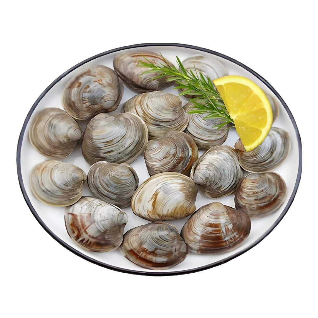 鲜活营养美贝散称