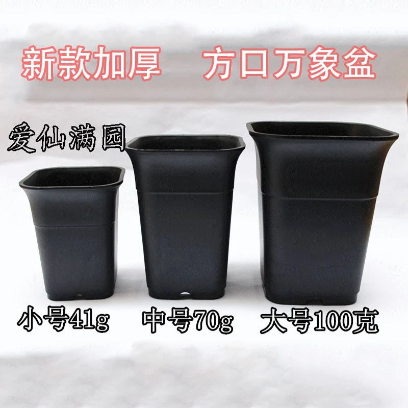 加厚方口万象盆-款黑色深型多肉植物方盆 适合根系深的套餐