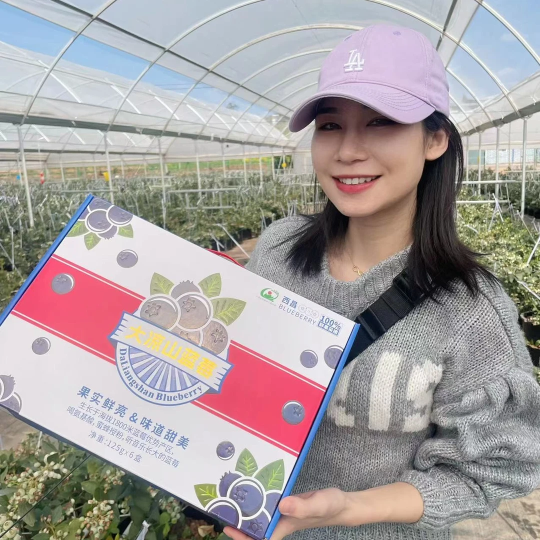 海玥农业大凉山蓝莓纯甜无酸好吃果粒新鲜采摘6盒装750g顺丰空运
