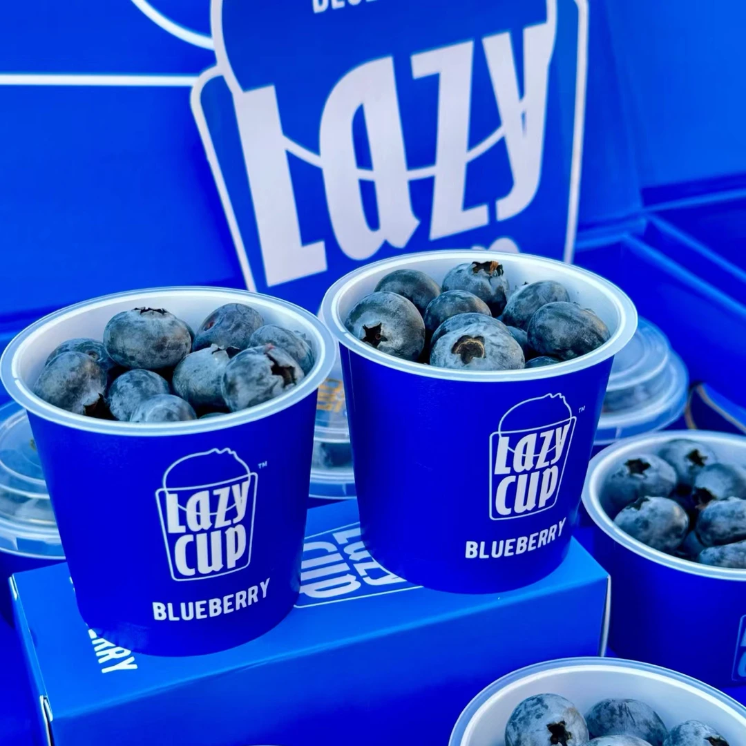 【嘎嘣脆带花香】Lazycup小罐蓝莓60g蓝莓同城送
