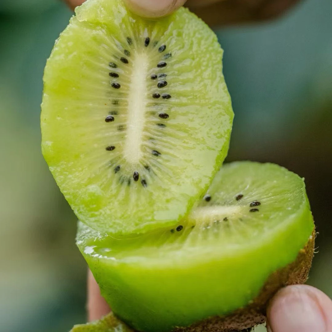 【有机无农残】风物生态种植猕猴桃6颗装