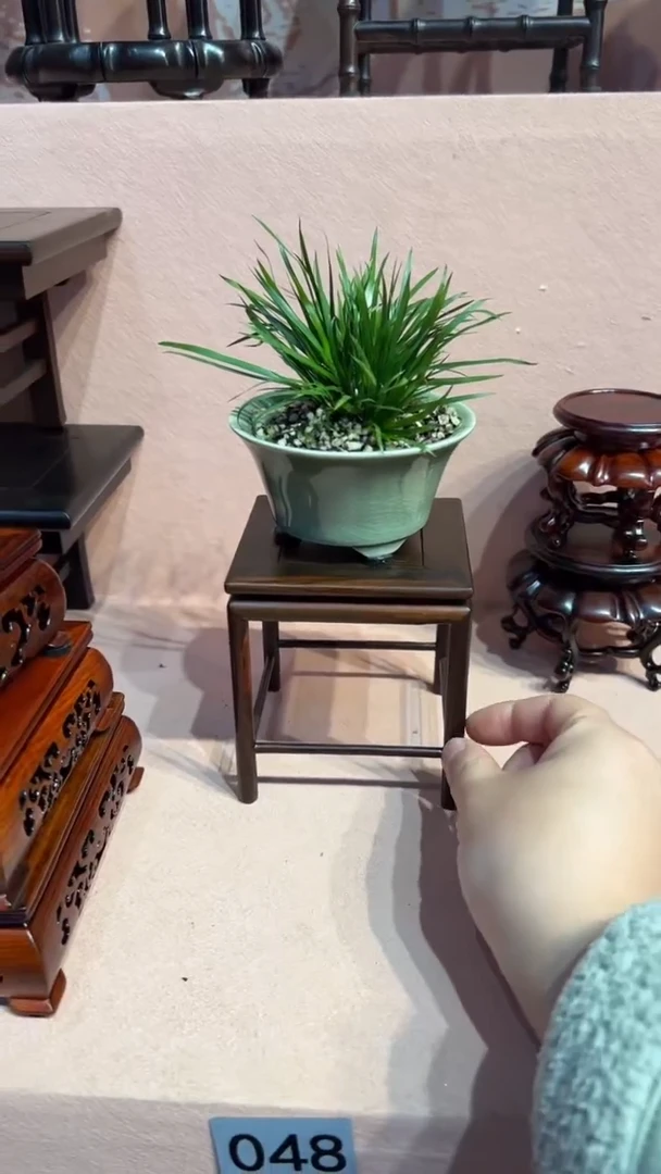 【闪购商品】紫砂111111