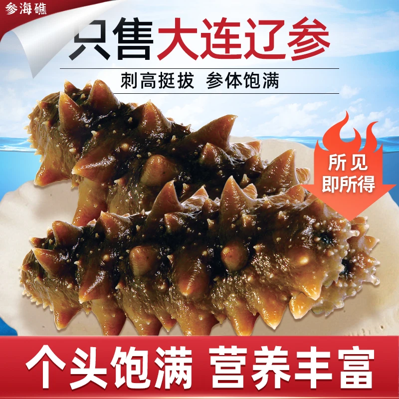 【辽参3斤装】精选底播海参人工捕捞海参大连原产海参辽参 开袋即食