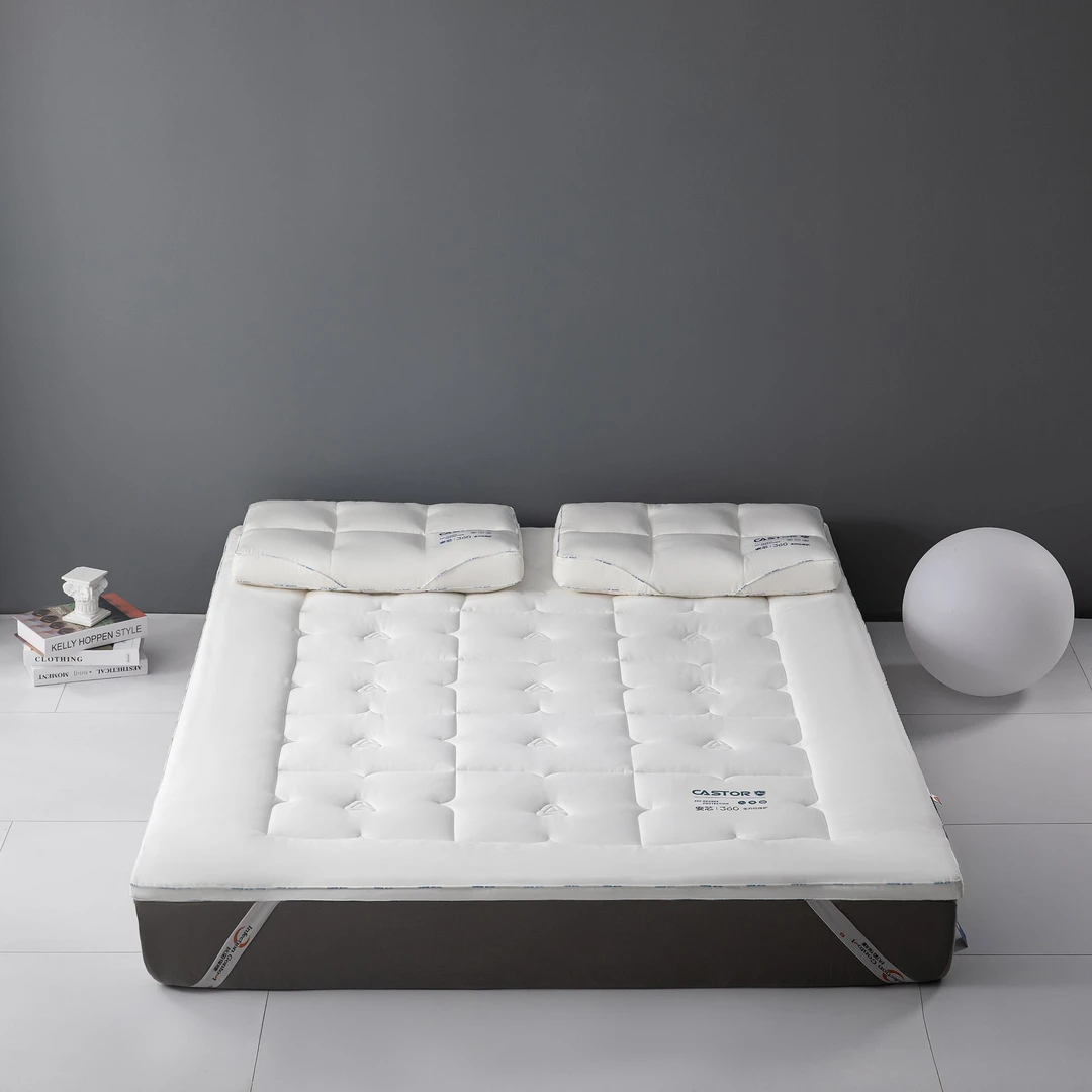 A类面料+控敏安心芯~防螨抗菌防霉 宿舍家用床上用品软垫B  H4049