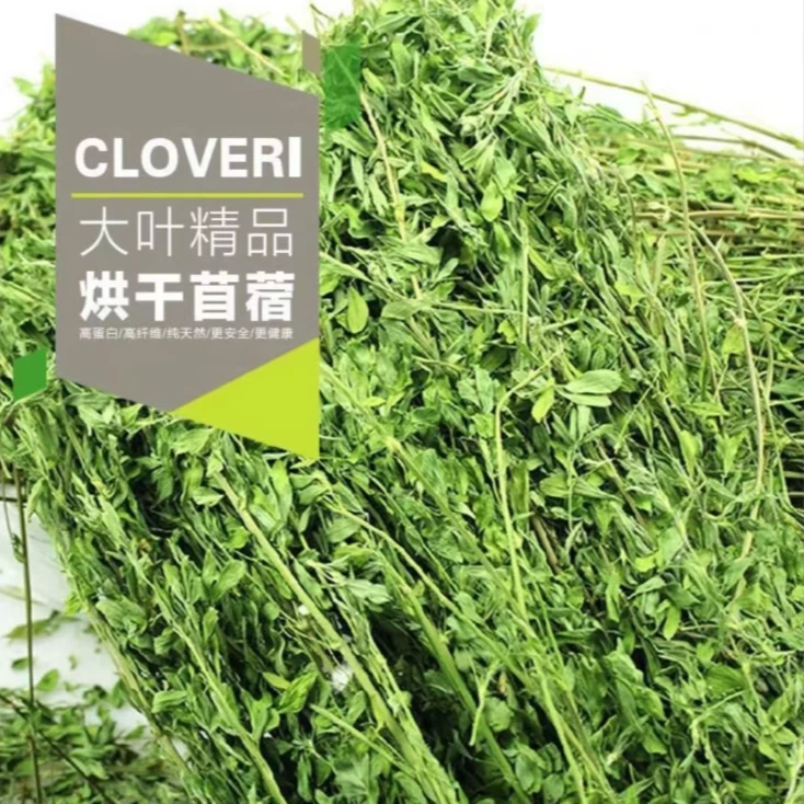 紫花苜蓿草烘干1kg幼兔兔粮搭配牧草宠物兔