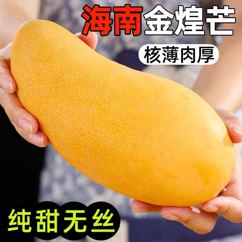 【纯甜无酸】海南金煌芒果5/8斤新鲜应季水果产地树上 香甜多汁饱满