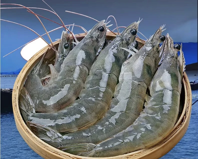 新鲜鲜活大青虾（保鲜不保活）