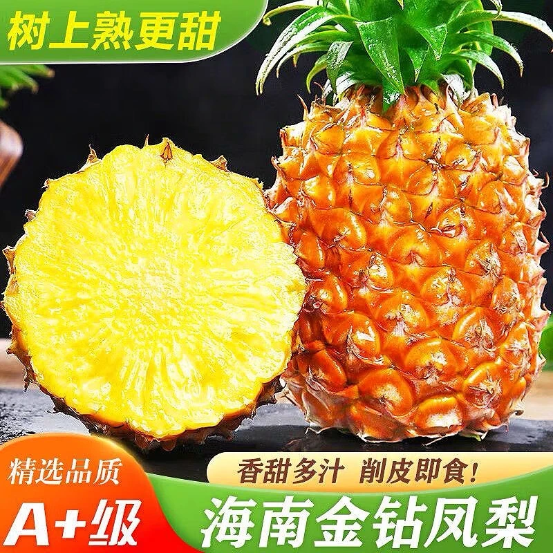 海南金钻凤梨17号非菠萝孩子老人孕妇水果树上熟海南热带水果
