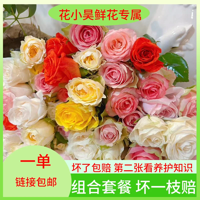 五福临门套餐： 艾莎+香槟+戴安娜+高原红+碎冰蓝已发货不支持退款