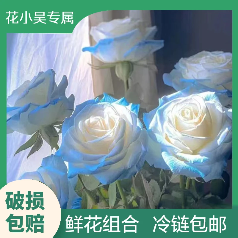 【浪漫七夕礼】云南鲜花福利碎冰蓝洋桔梗洋甘菊绣球 1单包邮