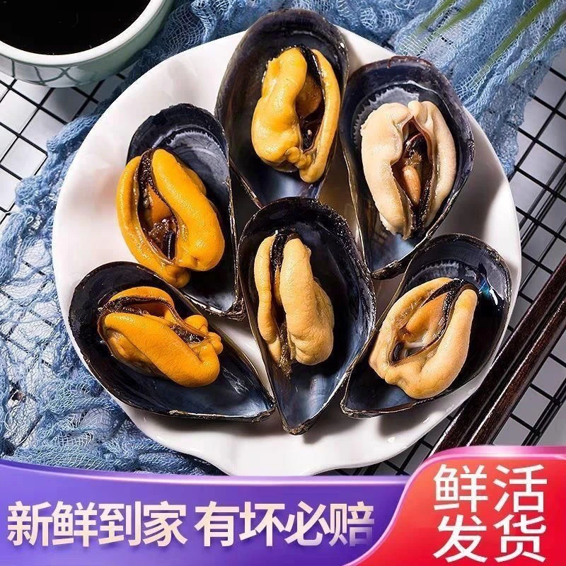 鲜活日照小海虹当天捕捞野生海虹贝类烧烤海鲜水产