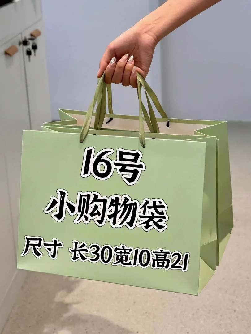 【16号】中号手提包 时尚女士网红夏季潮流便携立体轻奢百搭款 K31