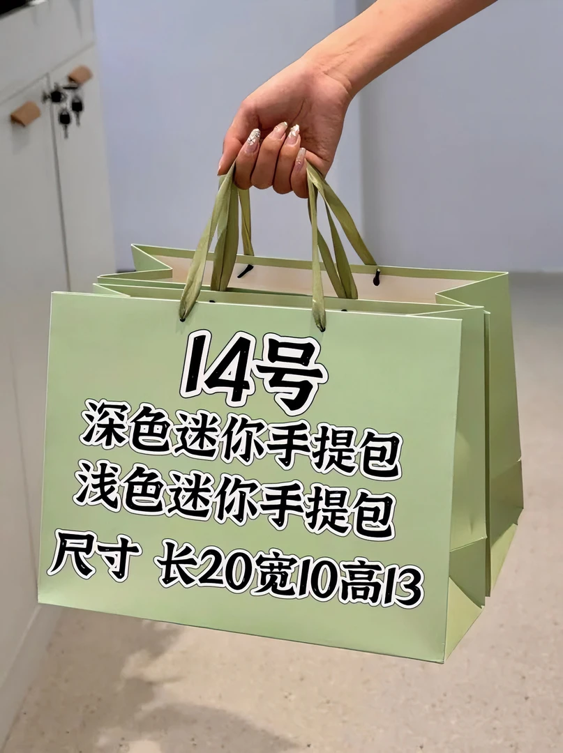 【14号】2024轻奢印花时尚手提包夏季学生环保休闲简约百搭  K28