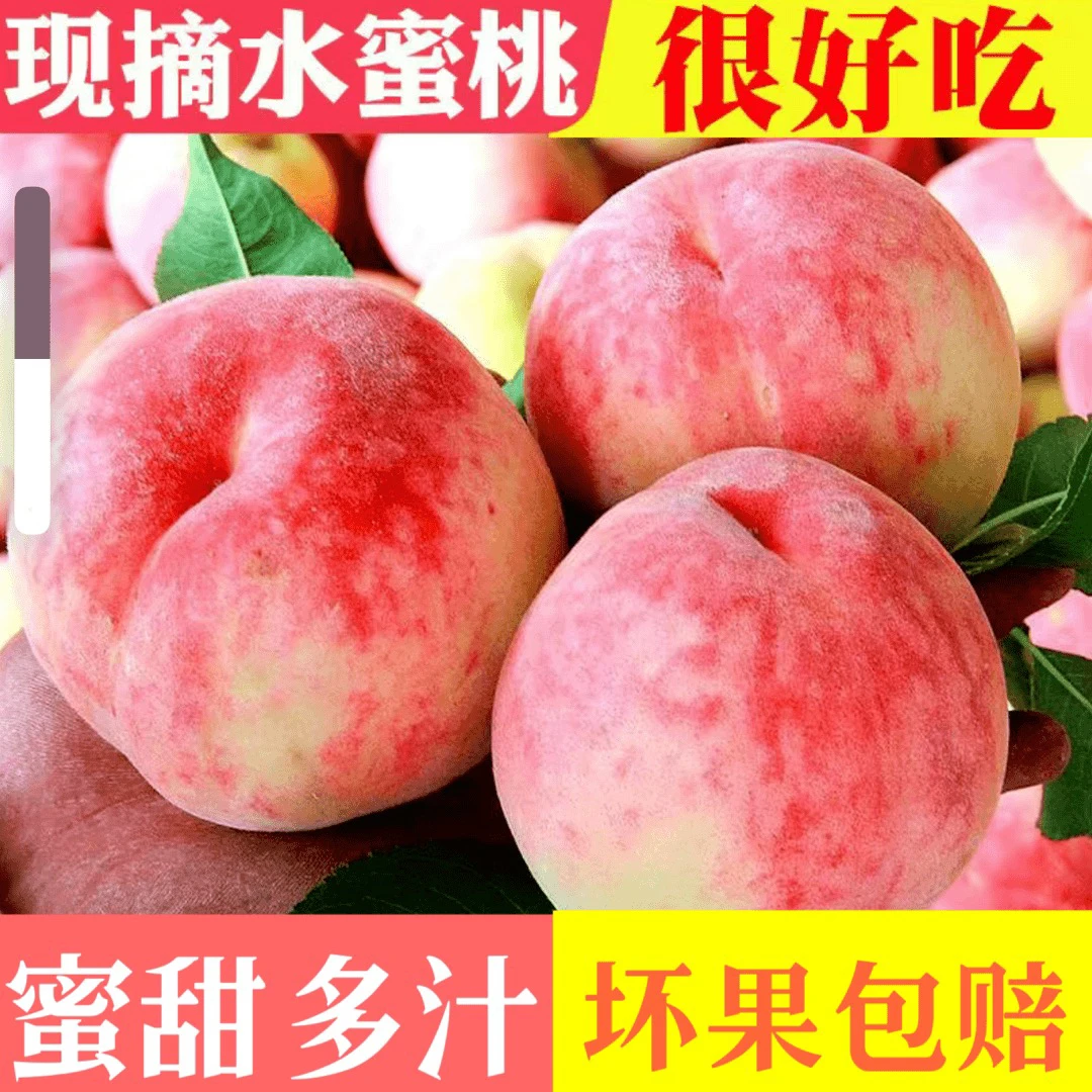 （产地直发）夏日尝鲜陕西高山水蜜桃香甜多汁新鲜采摘甜蜜可口