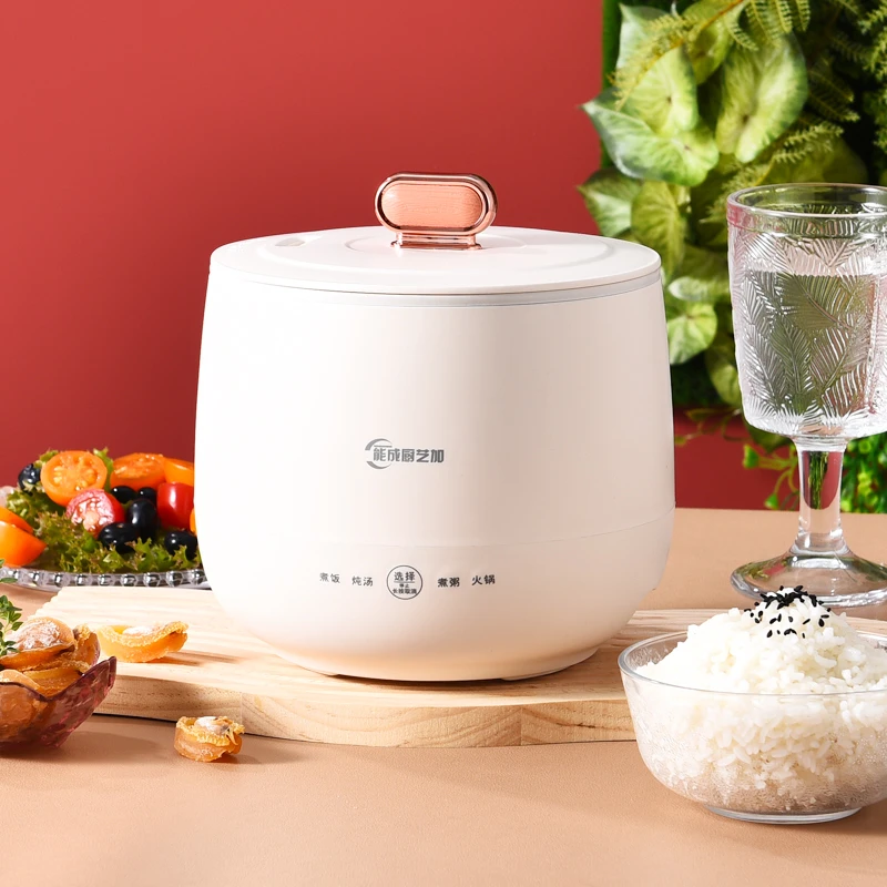 【张三专属】能成厨艺加BY-16多功能电热锅 348