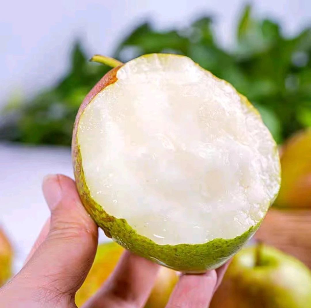 【疆内包邮专拍】正宗一八四团一连玉露香梨【坏果包赔】