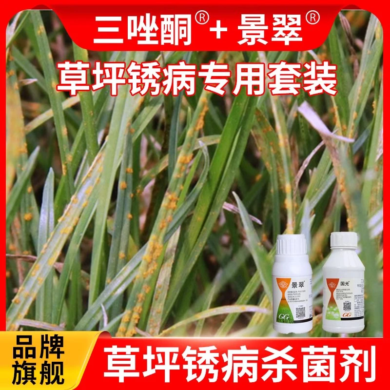 草坪锈病专用杀菌套装国光三唑酮景翠黑斑病币斑病白粉病通用杀菌