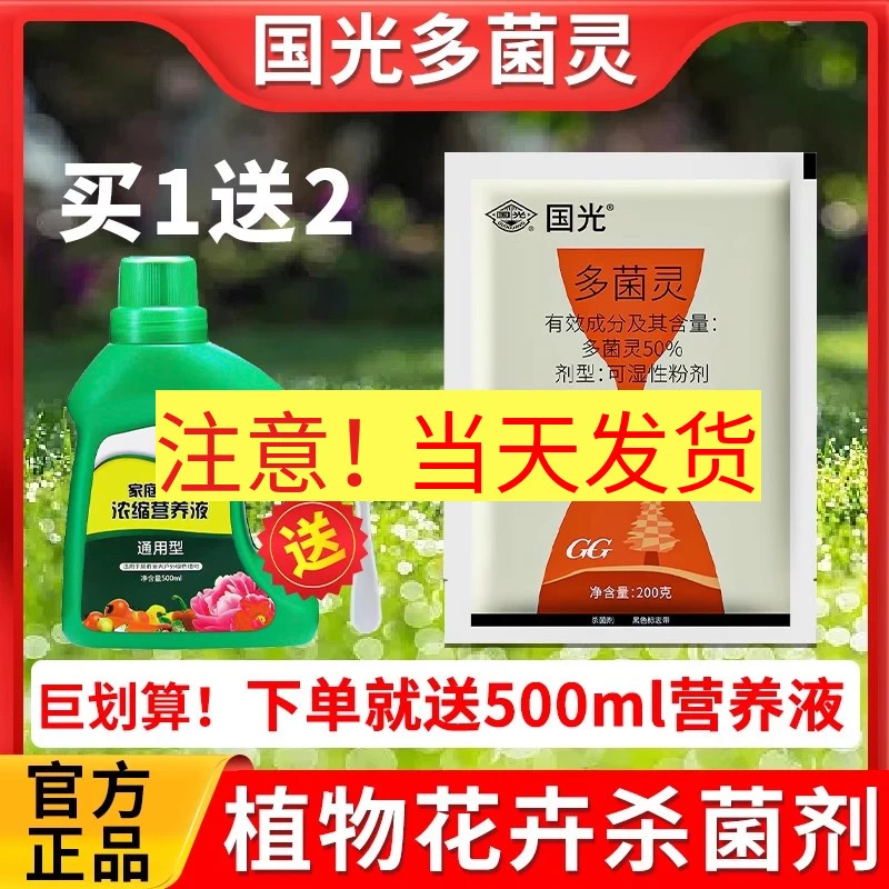 国光多菌灵多茵灵杀菌剂花药多肉月季除菌多菌灵杀菌剂官方旗舰店