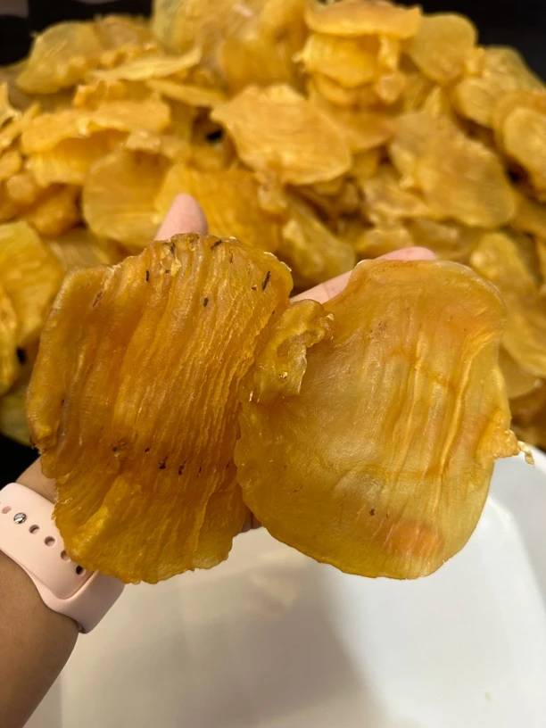 珍品汇 野红鸡赤嘴母 10头