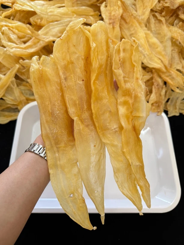珍品汇｜老阴阳肚11～12头