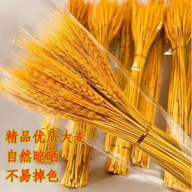 整箱低价批发天然黄金麦穗花束开业花篮大麦客厅田园装饰摆件干花