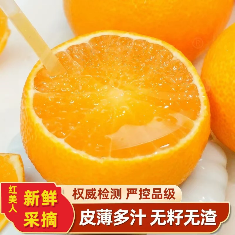 【顺丰包邮】正宗红美人果冻橙柑橘皇后当季新鲜孕妇水果5斤