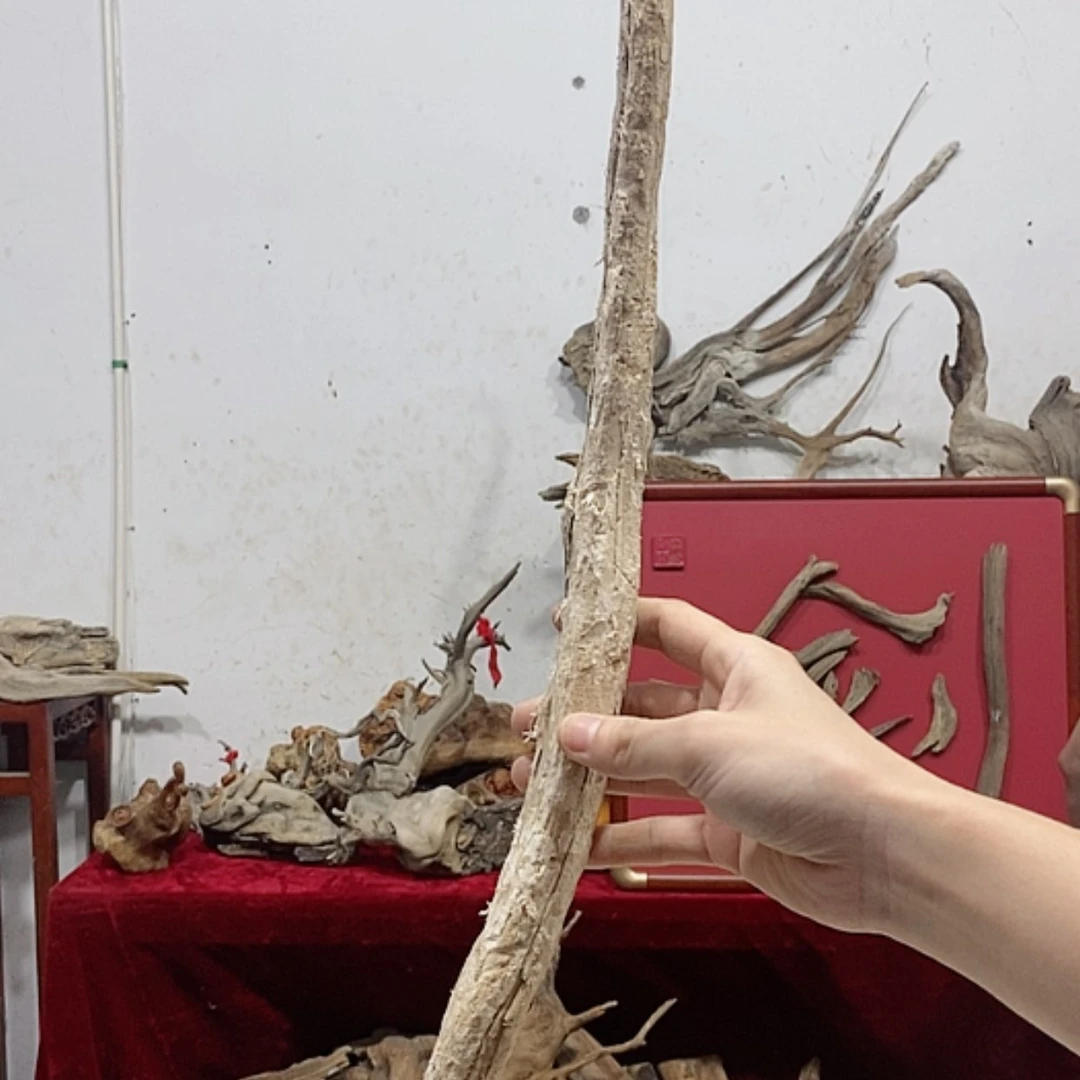 【闪购商品】柏木?****狼清清浅浅的人是不可能