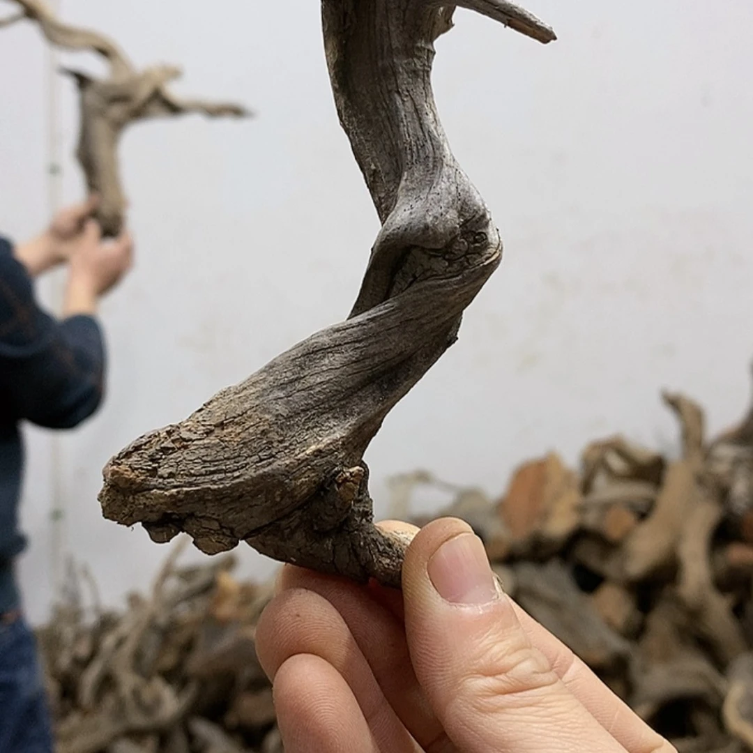 【闪购商品】柏木果****8