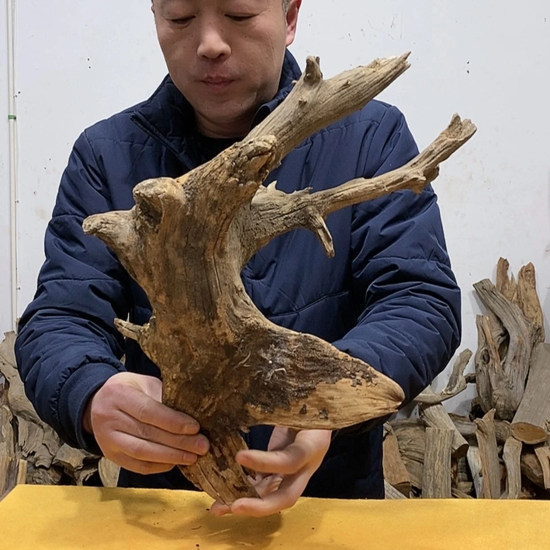 【闪购商品】柏木用****4