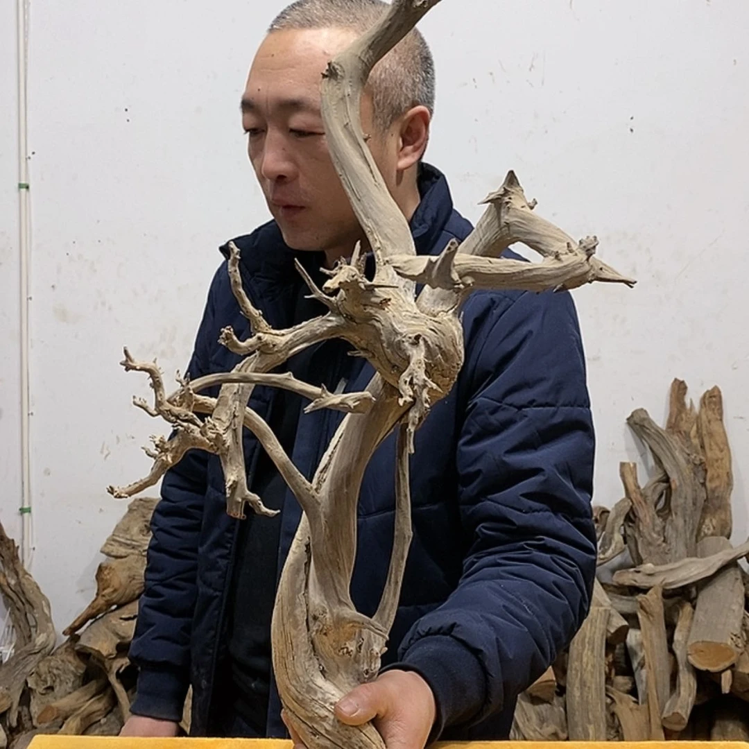 【闪购商品】柏木传*阁